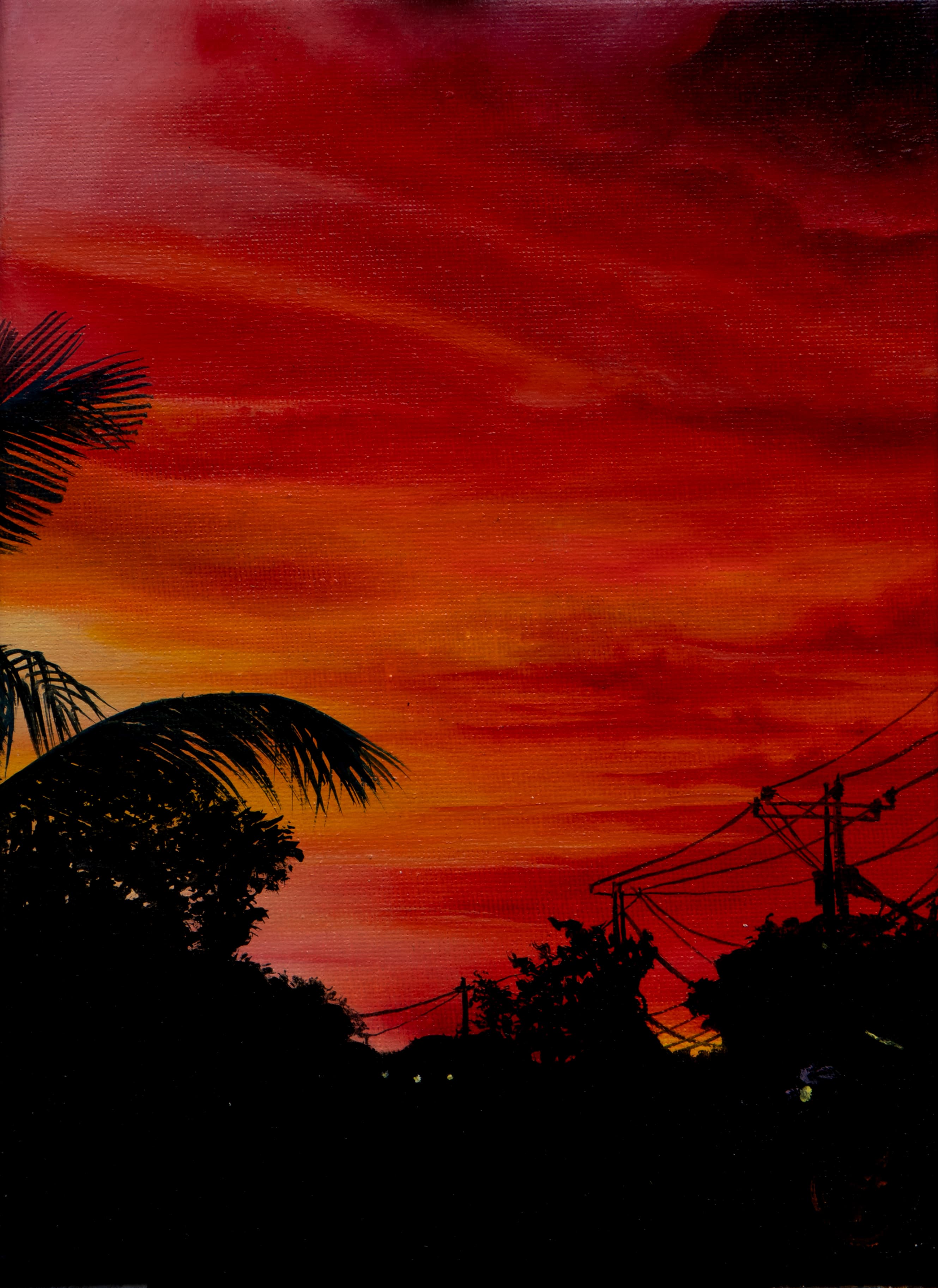 Sun Palm